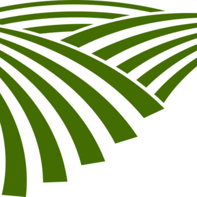 71 Rice Field Thumbnail