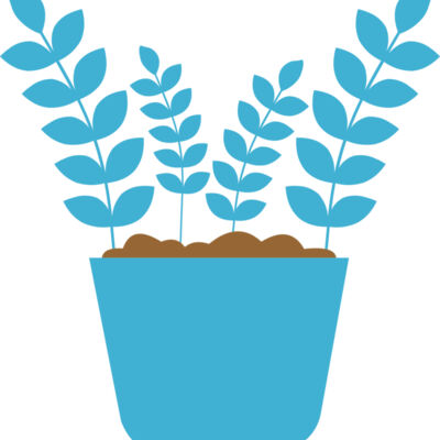 Plant 5 Thumbnail